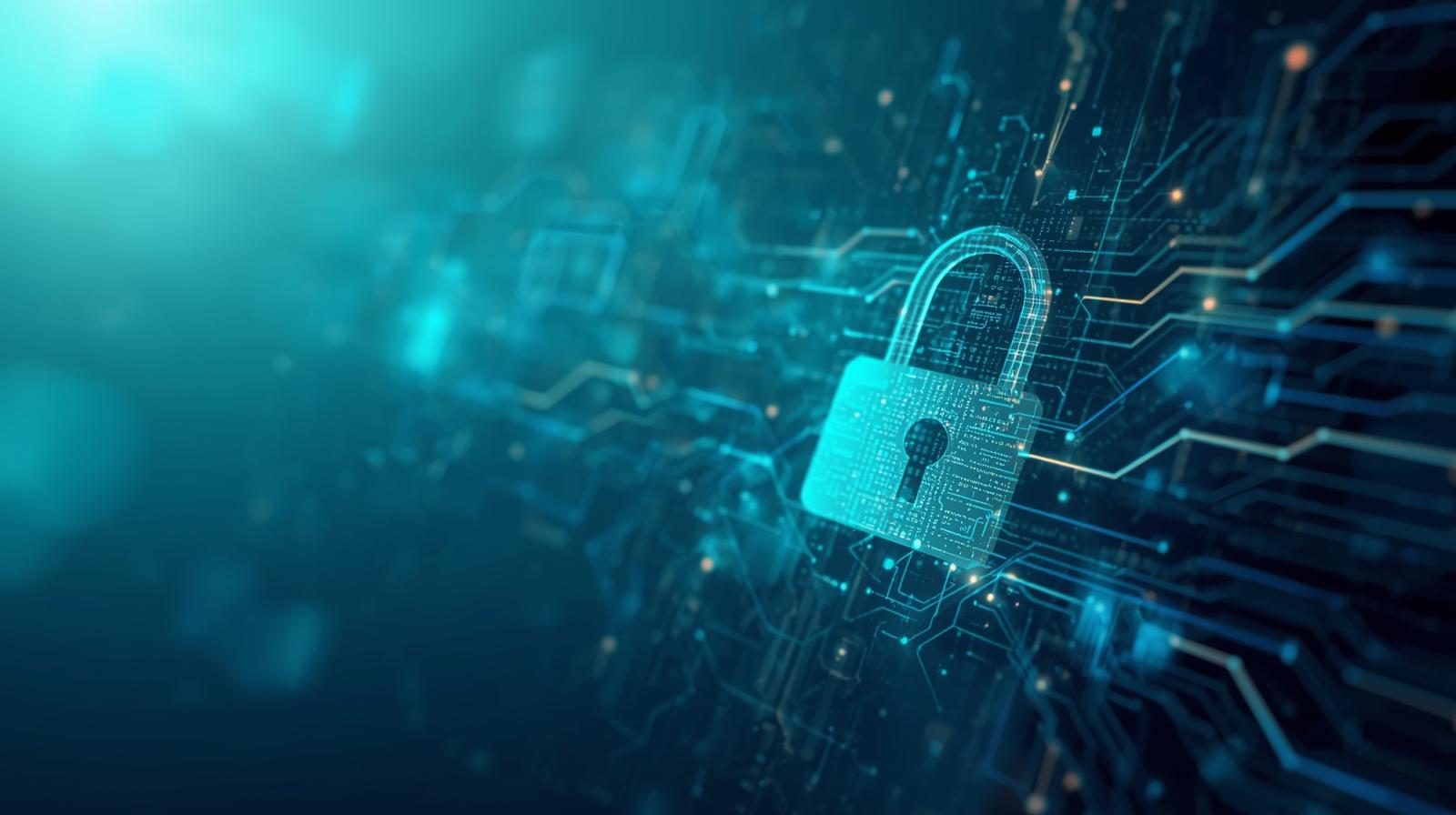 Política de Privacidad de CONEXIÓN SERVICES SAS